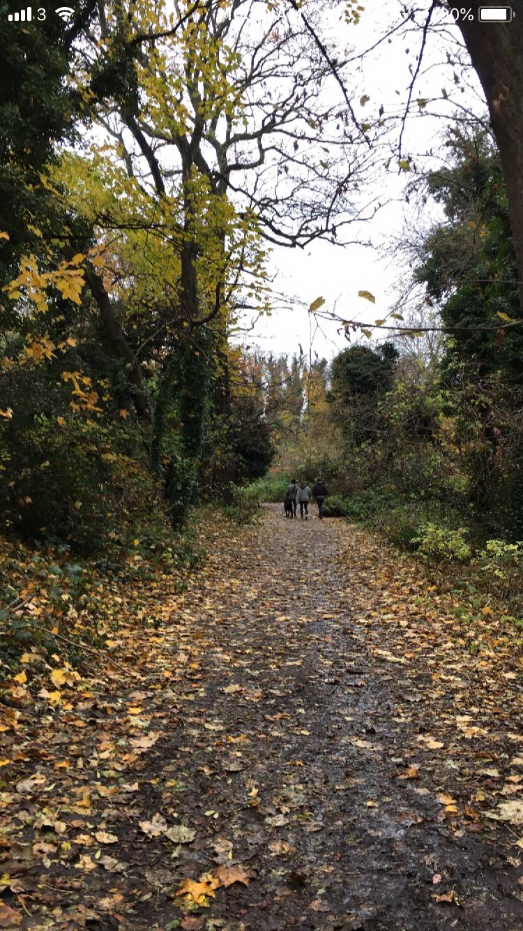 Ten lovely autumn strolls In England