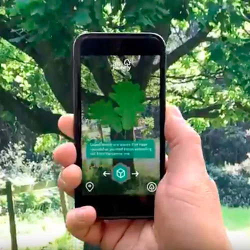 Exploring nature connection and AR