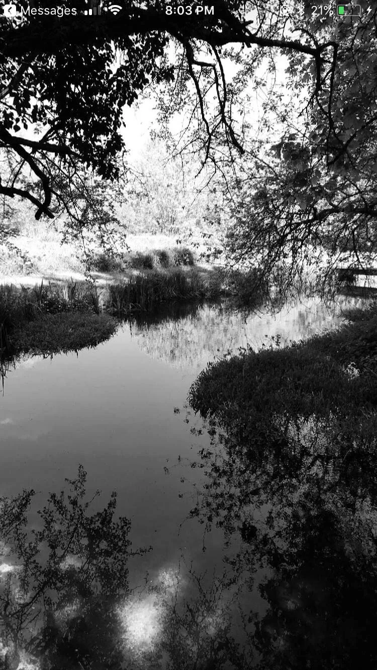 IMG_6721.jpg