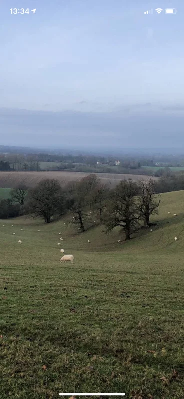 Image from iOS (5).jpg