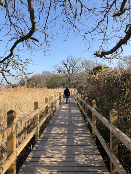 Get Moving in March with My Journey, Love to Ride and Go Jauntly