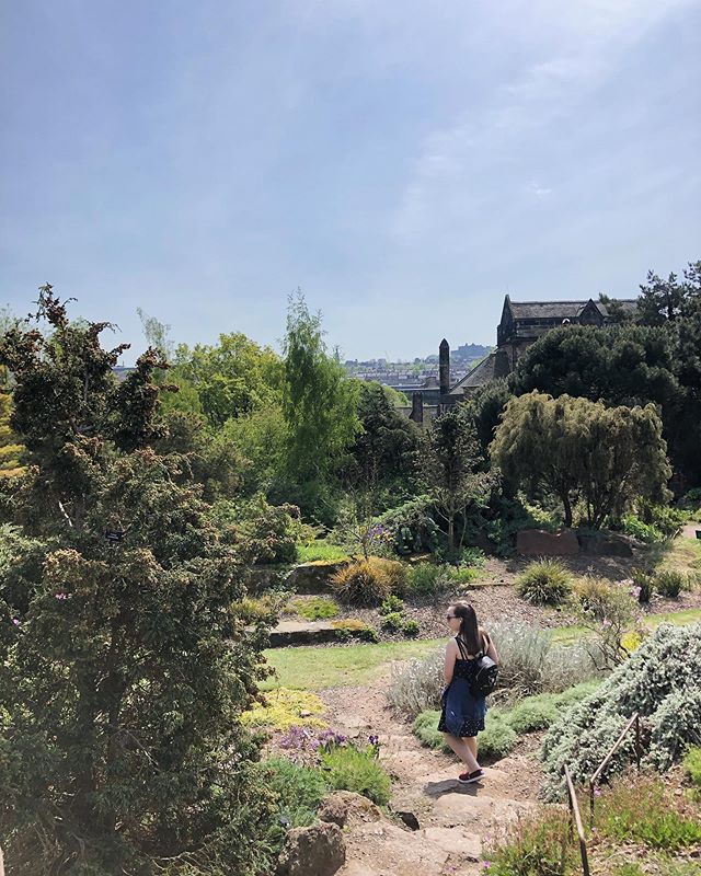 Wandering around the free rock gardens at @rbgedinburgh is nothing short of serene. Walk up the steps and catch the city views. 😍
&bull;
&bull;
&bull;
&bull;
&bull;
&bull;
&bull;
#botanicalgardens #plants #rockgardens #chelseaflowershow2019 #rhschel