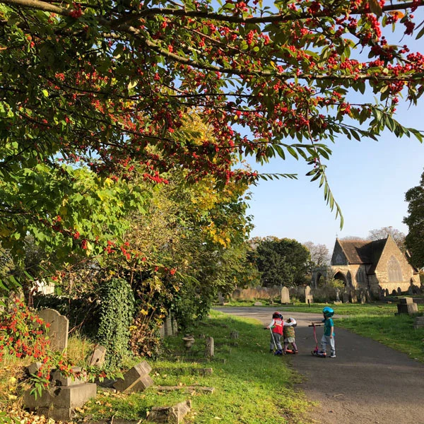 5 Great "Greater Brockley" Walking Routes in South East London