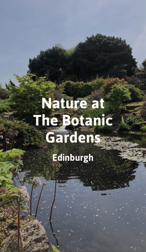 Nature at The Botanic Gardens.png