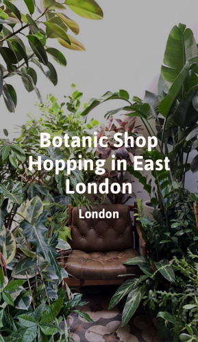Botanic Shop Hopping in East London.png