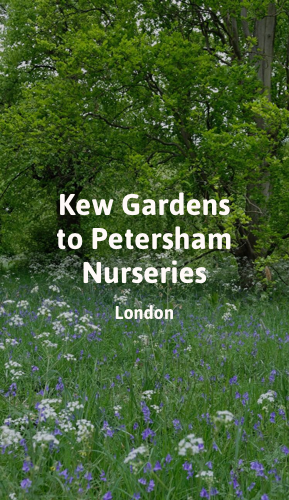 Kew Gardens to Petersham Nurseries.png