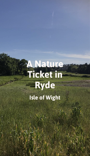 A Nature Ticket in Ryde.png