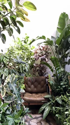 8 Brilliant Botanic Shops 