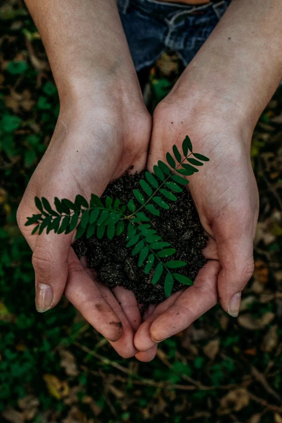 17 ways to work, live and thrive sustainably this decade 