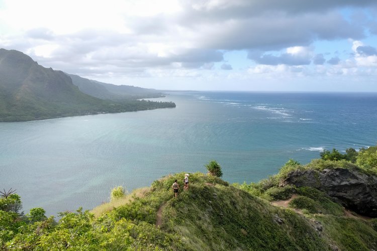 8 virtual walks to enjoy during lockdown
