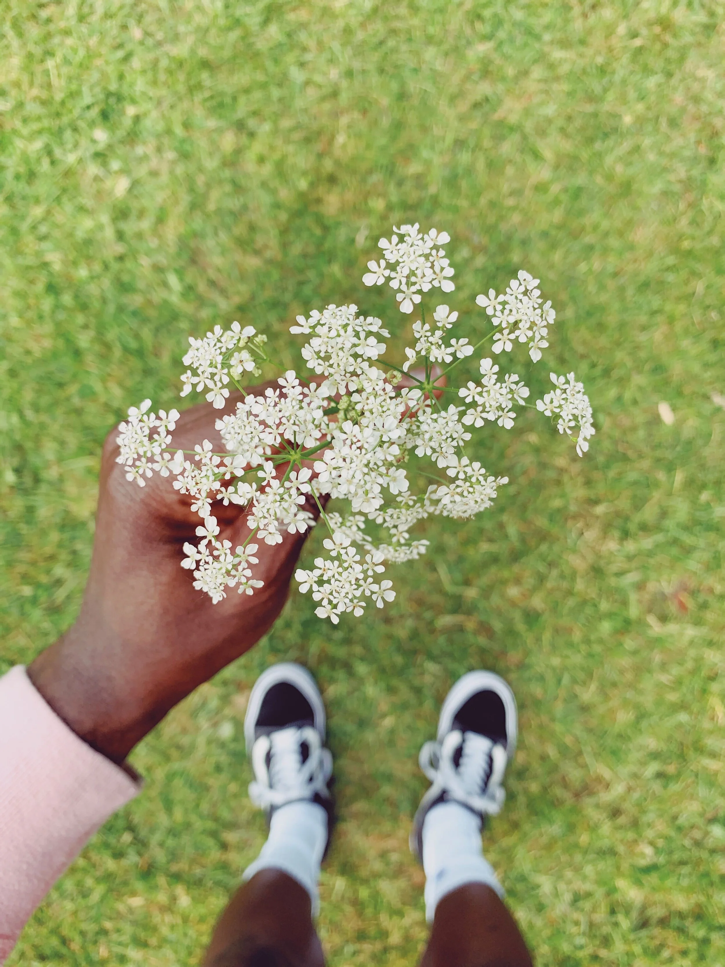 New 'Nature Prescription' feature now available for free