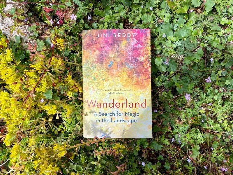 Win a copy of Wanderland by Jini Reddy