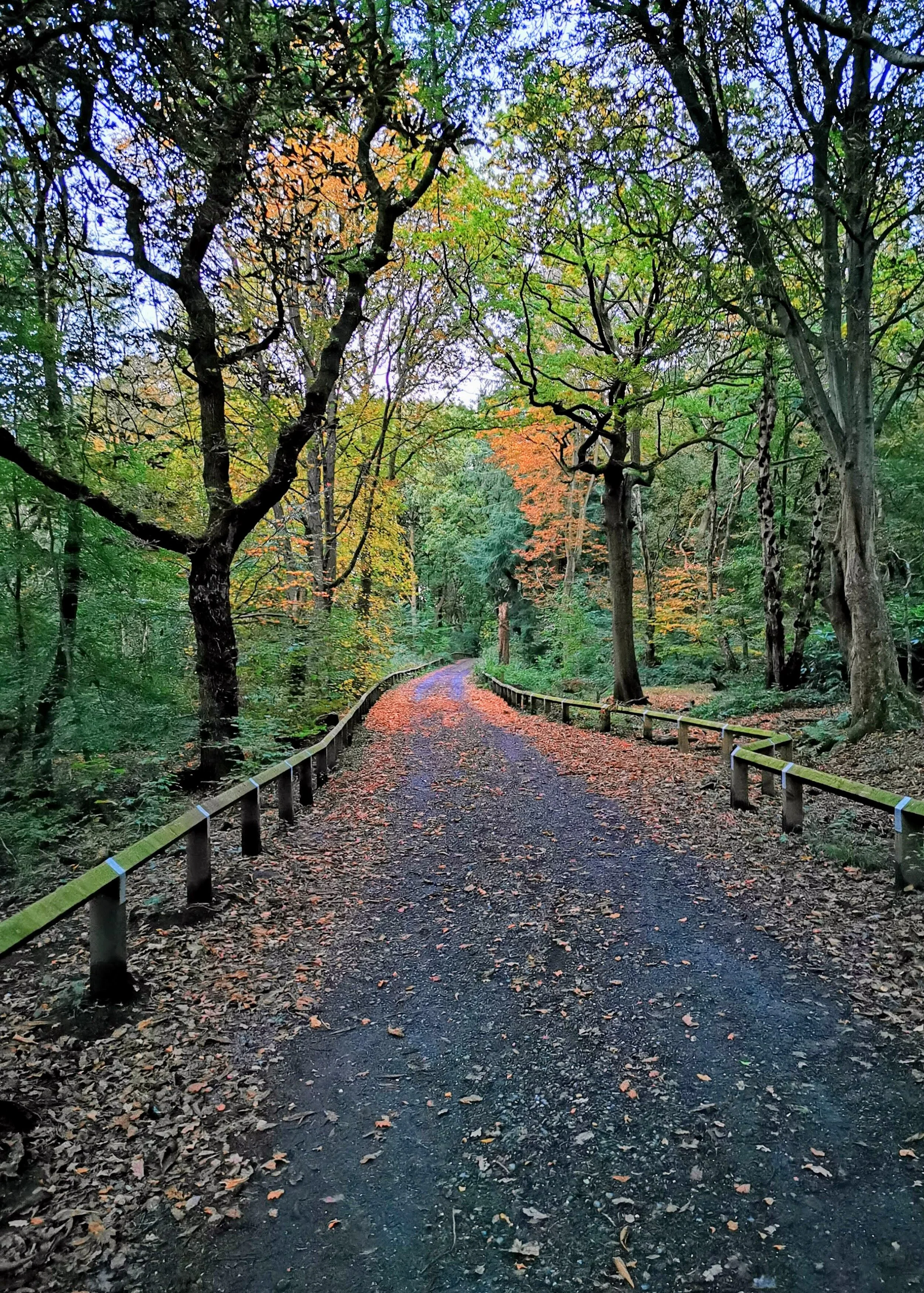Greater Manchester Short Walks 