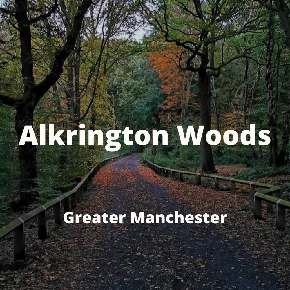 Christmas email - alkrington.jpg