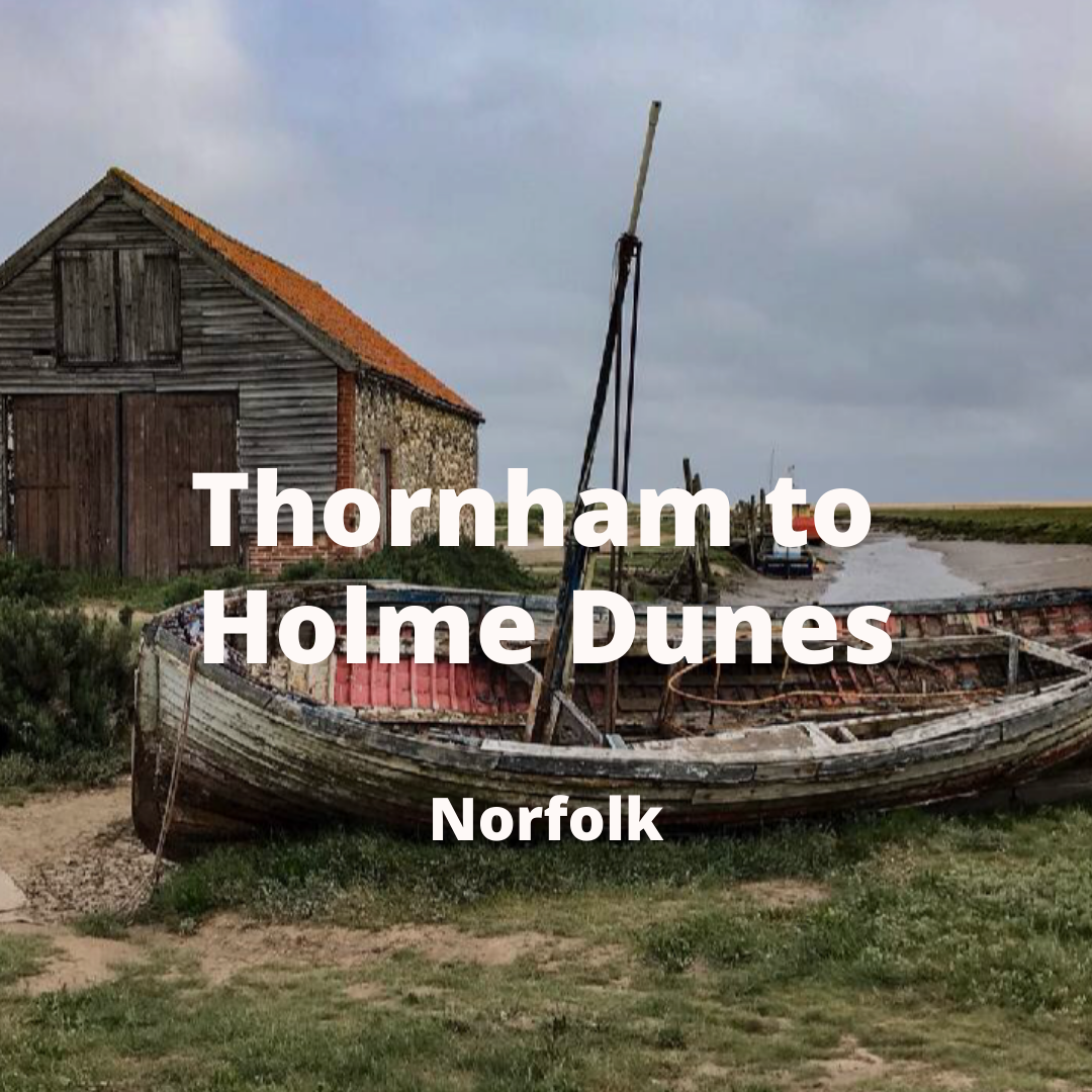 Copy of Christmas email - Thornham.png