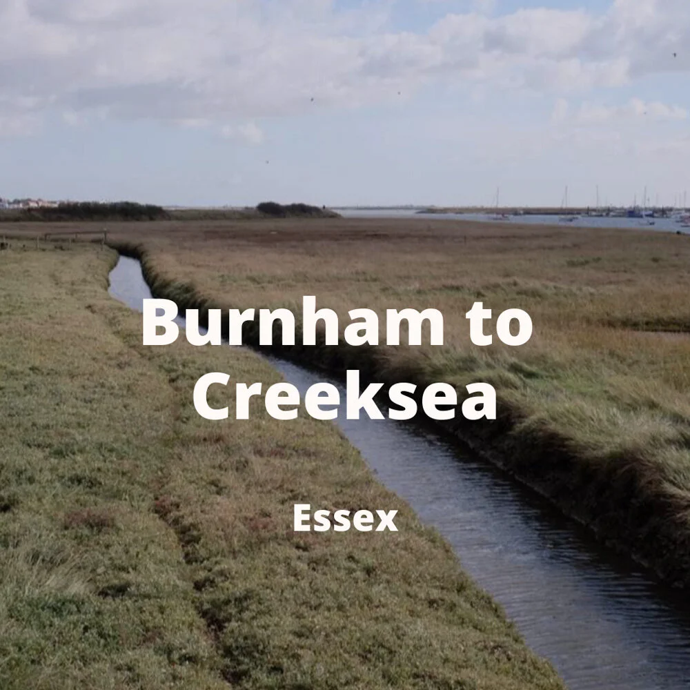 Christmas email - burnham.jpg