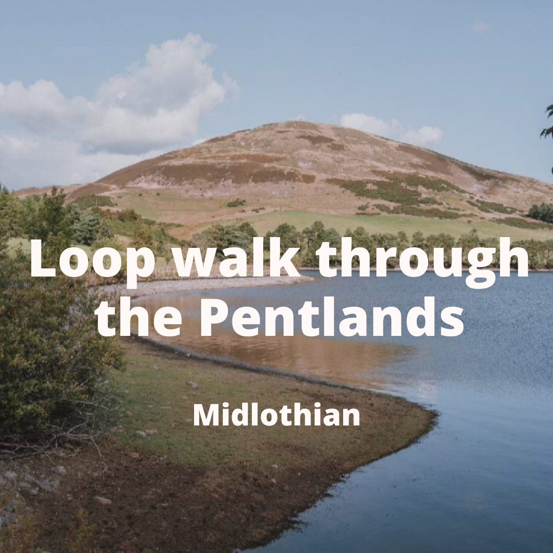 Copy of Christmas email - Pentlands.png