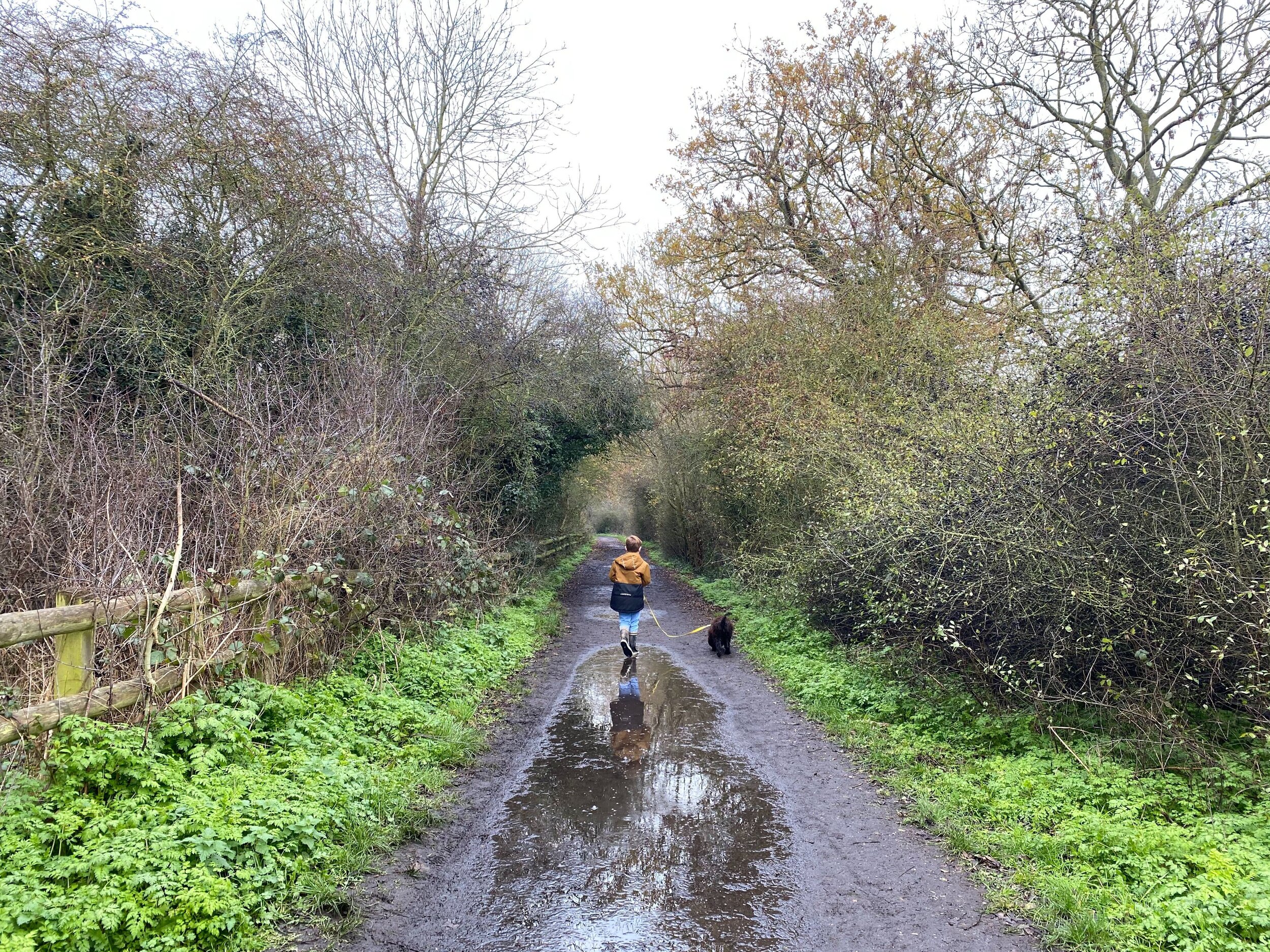 Love walking? Fancy joining our team for a 3 month Internship? Get in touch! Dog walking optional.