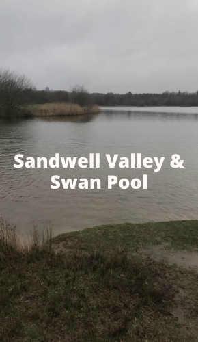 Sandwell Page Images (8).png