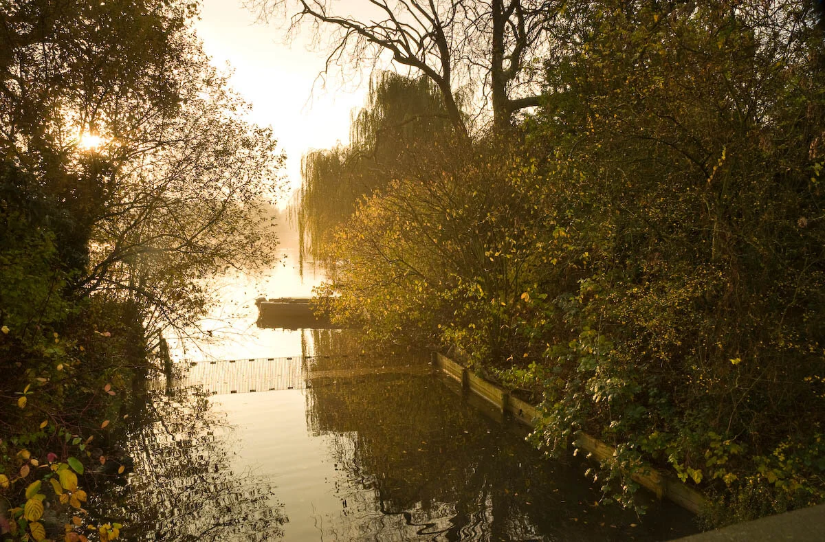The Regent's Park ©TRP Photographer Max A Rush