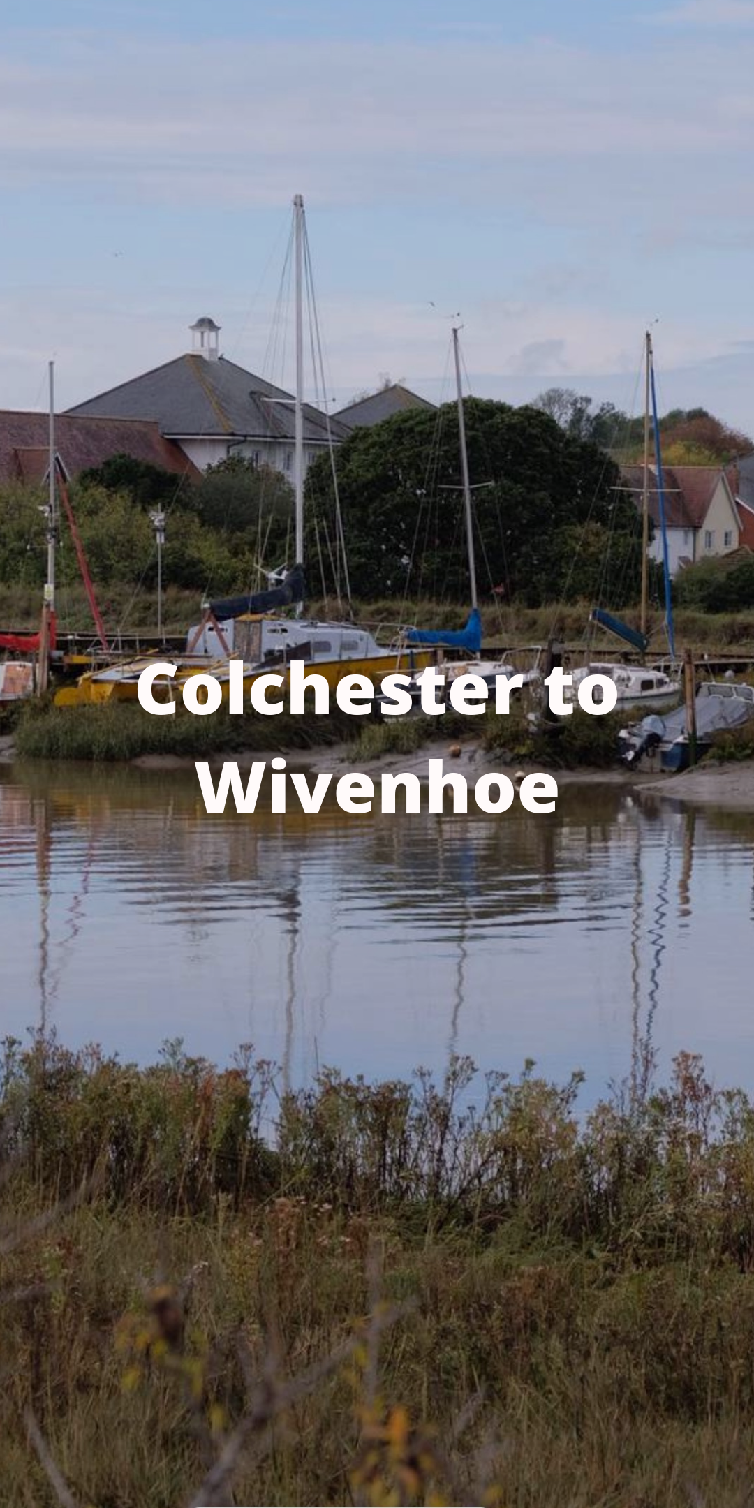 Colchester Wivenhoe.png