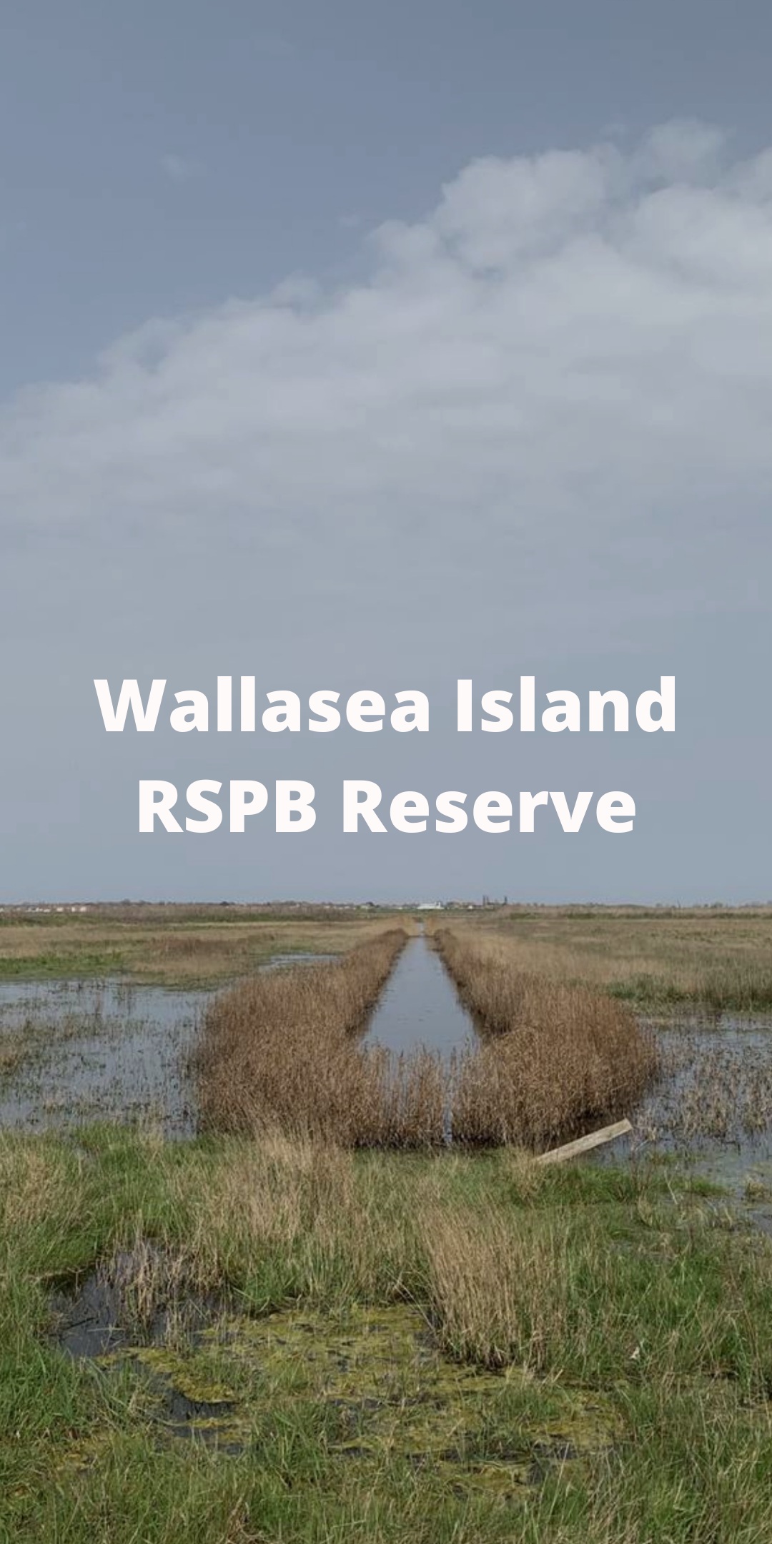 Wallasea.png