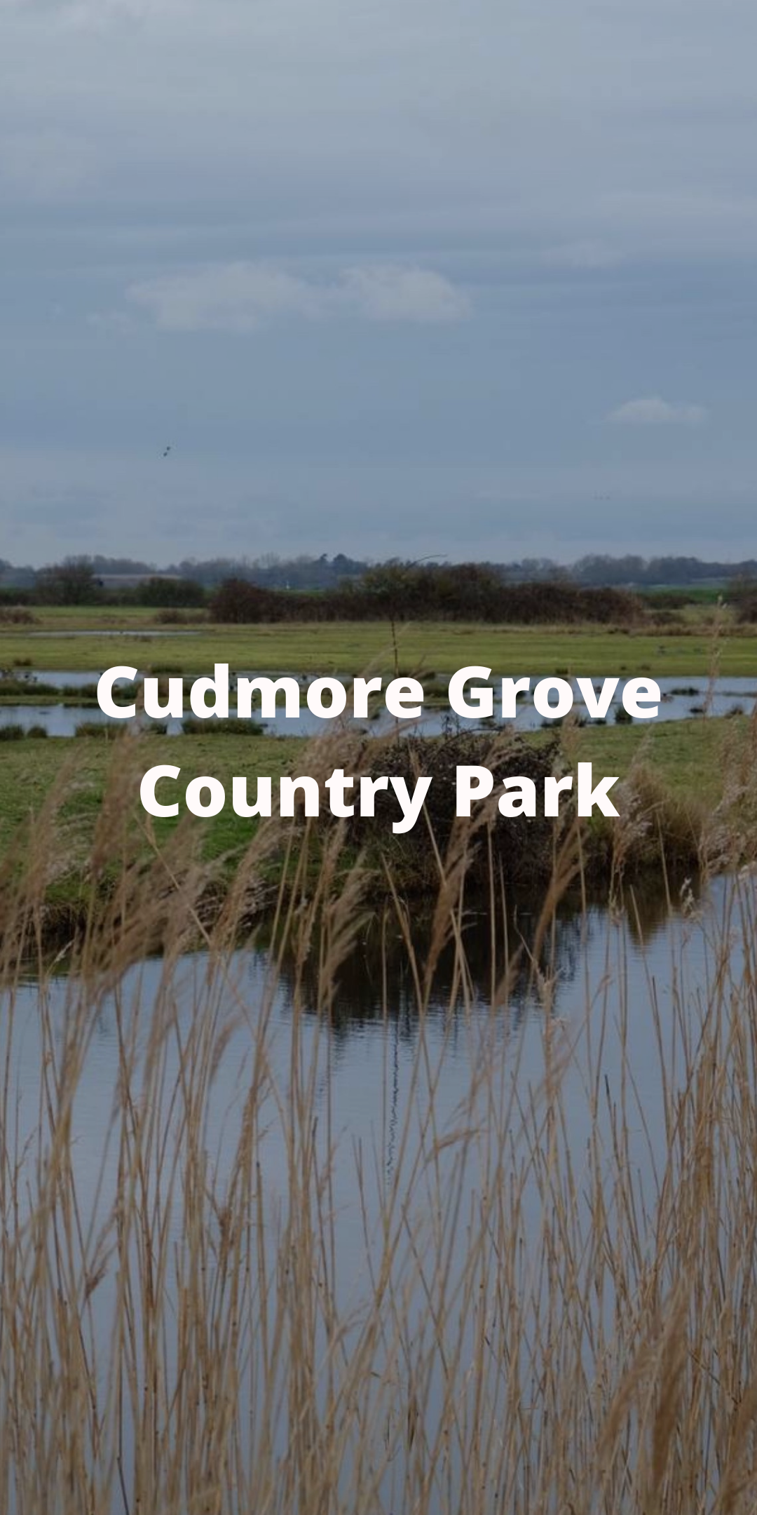 Cudmore.png