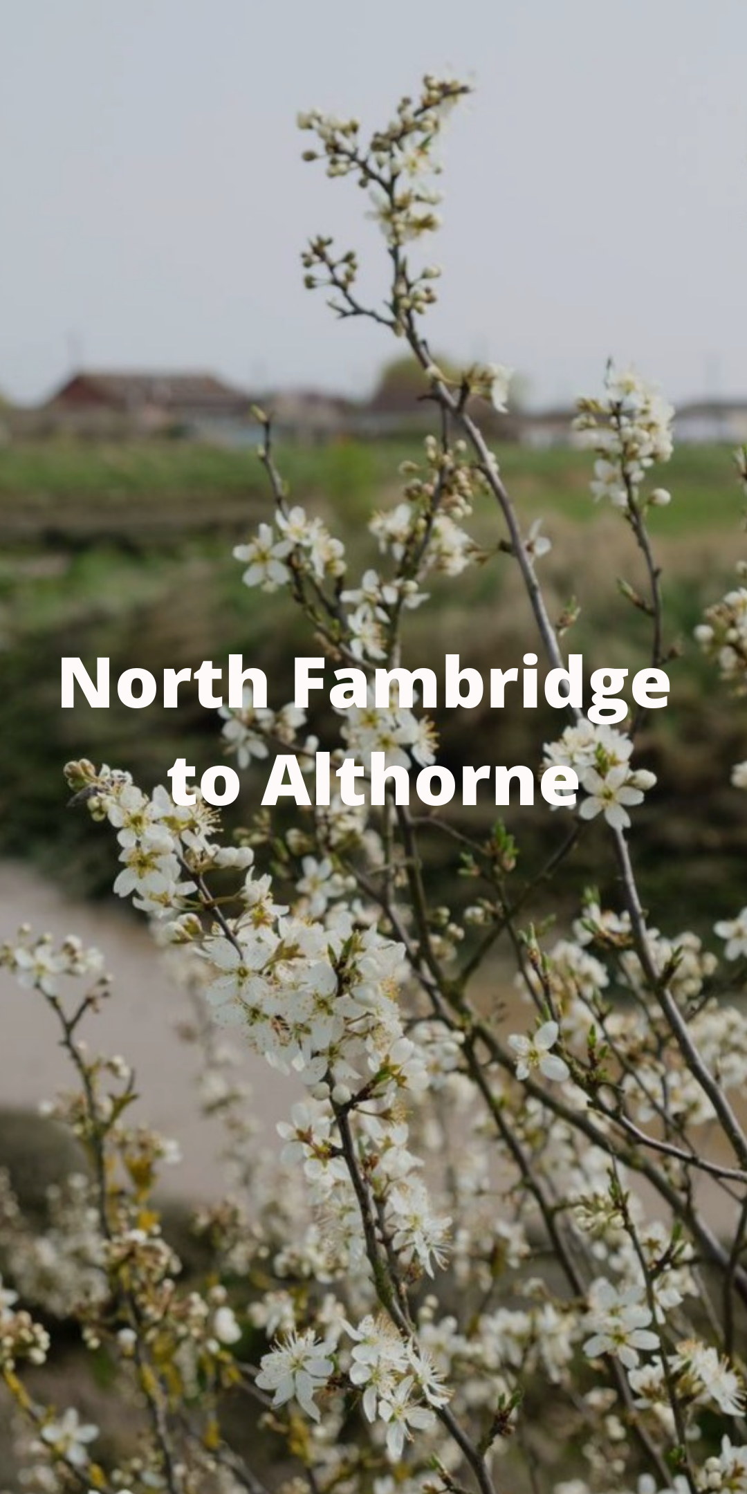 North Fambridge.png