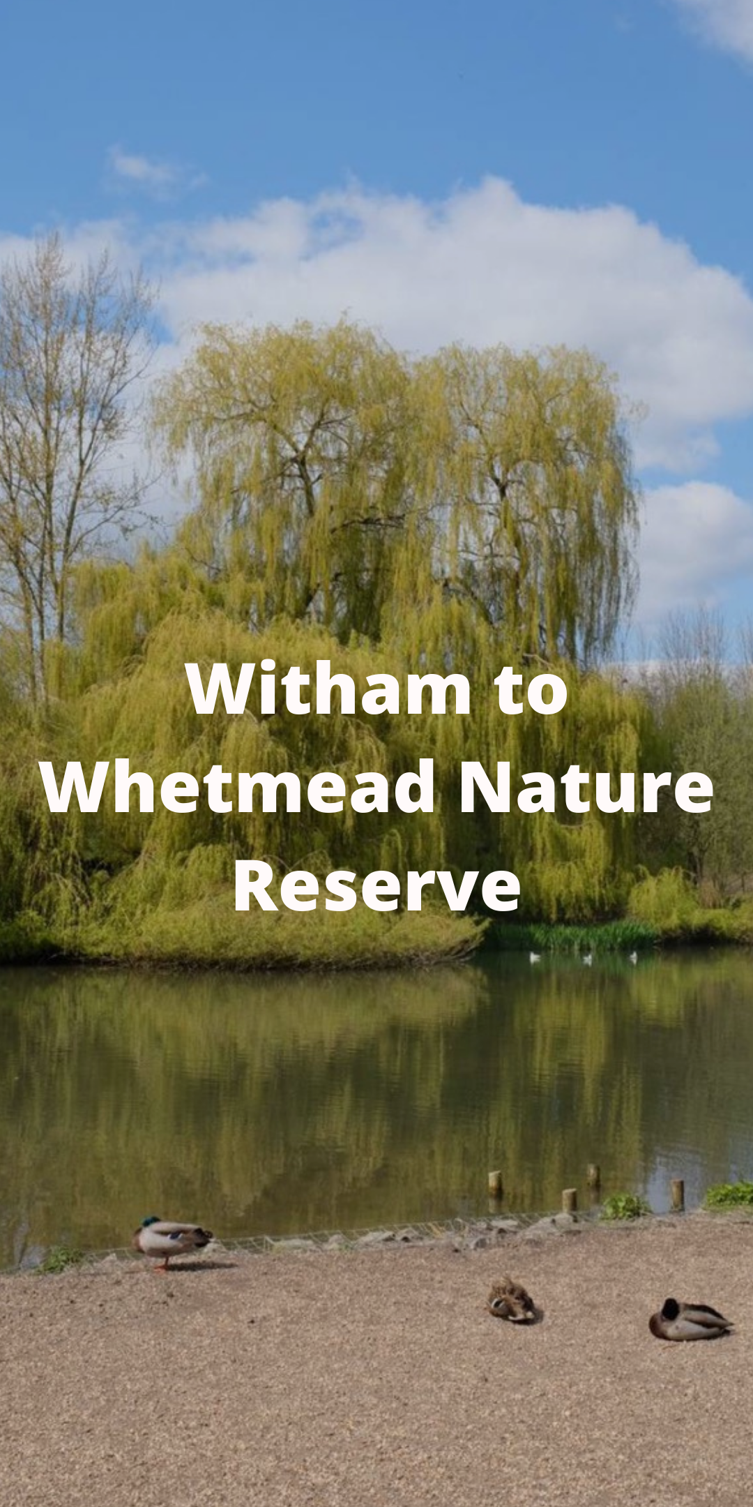 Witham .png