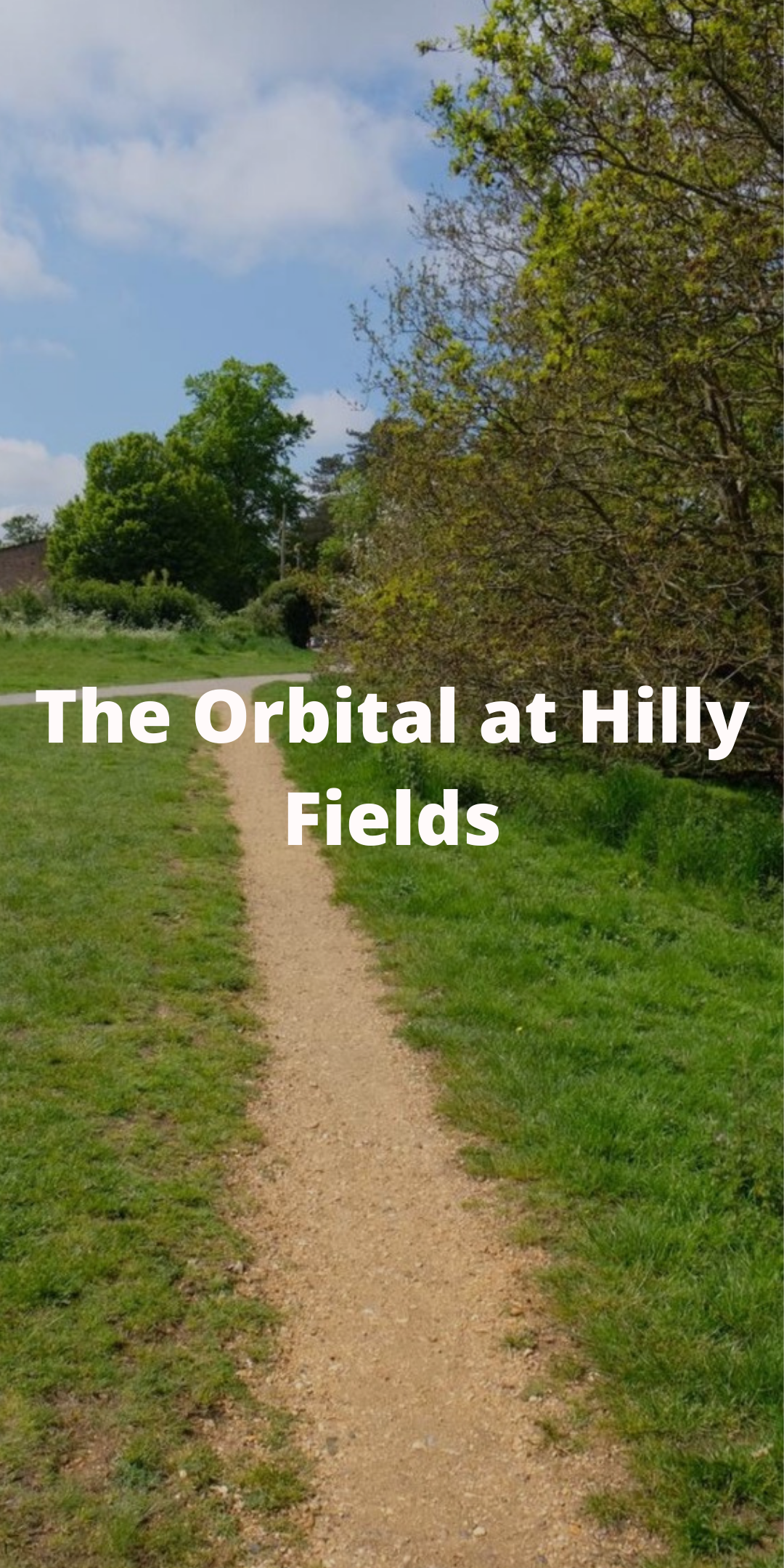 Orb Hilly Fields.png