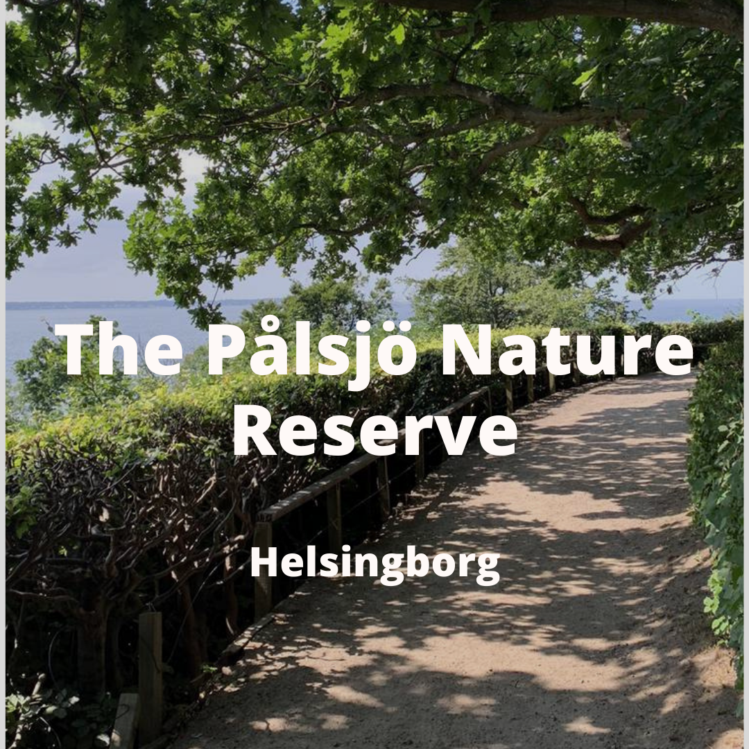 Palmolive Walk Cover (Blog Gallery) (2).png