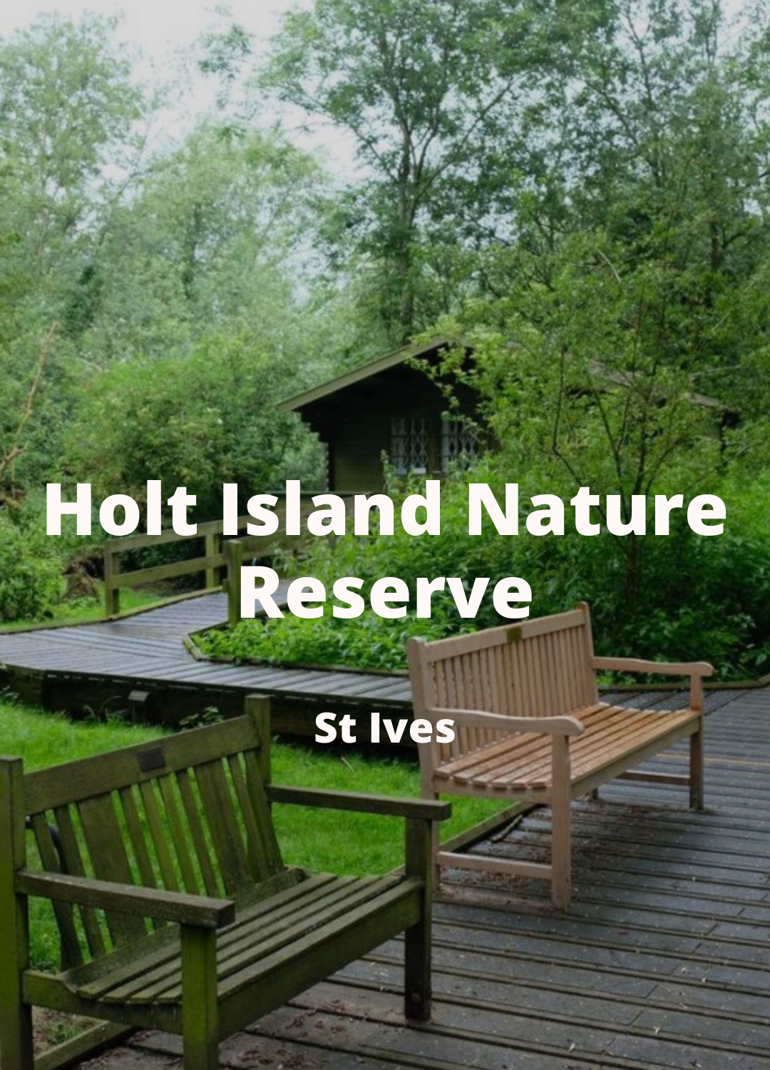 Holt Island.png