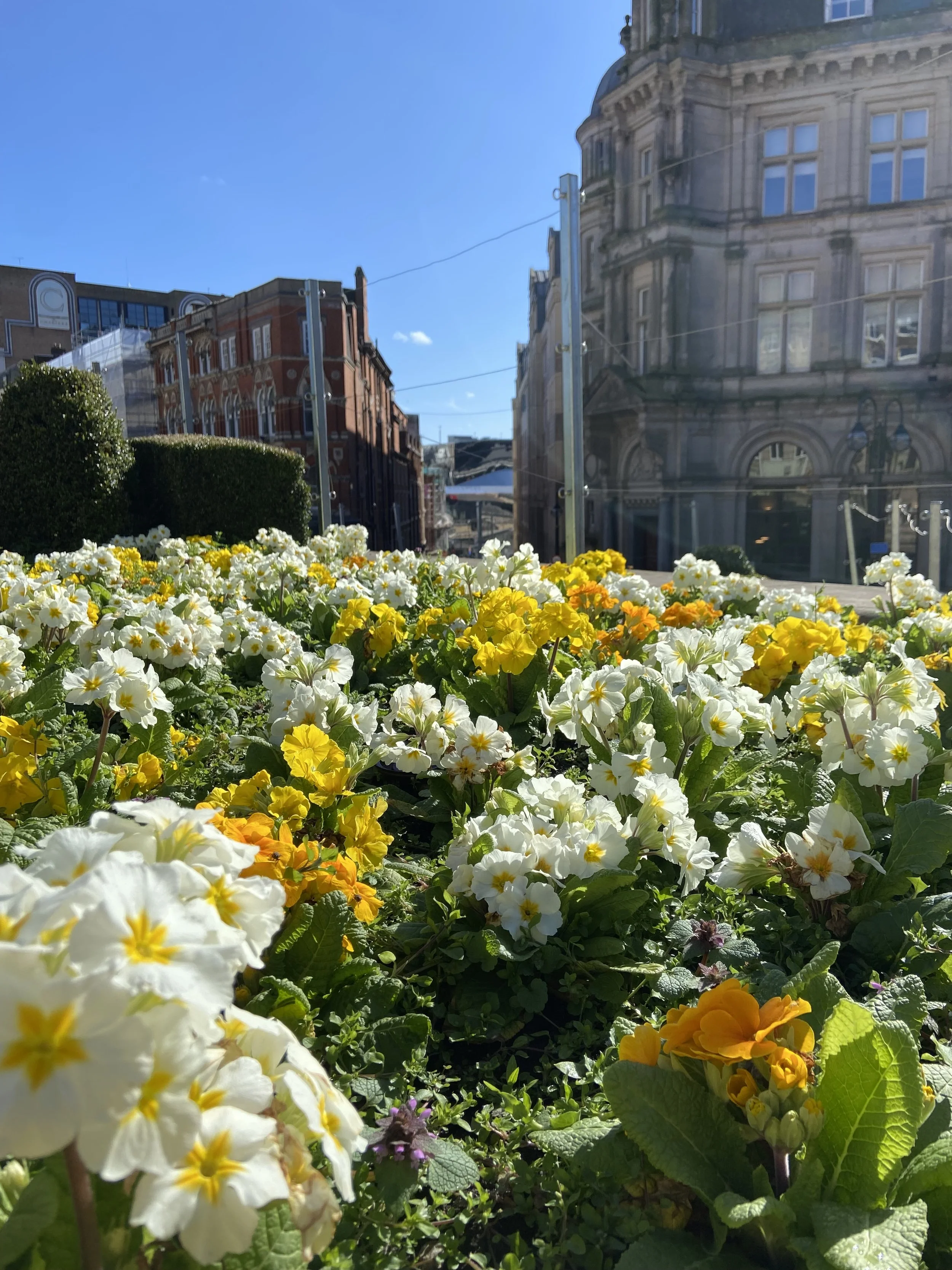 31 Darling Walking Routes for May