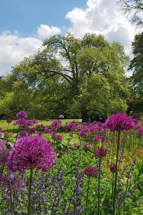 Explore Richmond’s Parks and Green Spaces