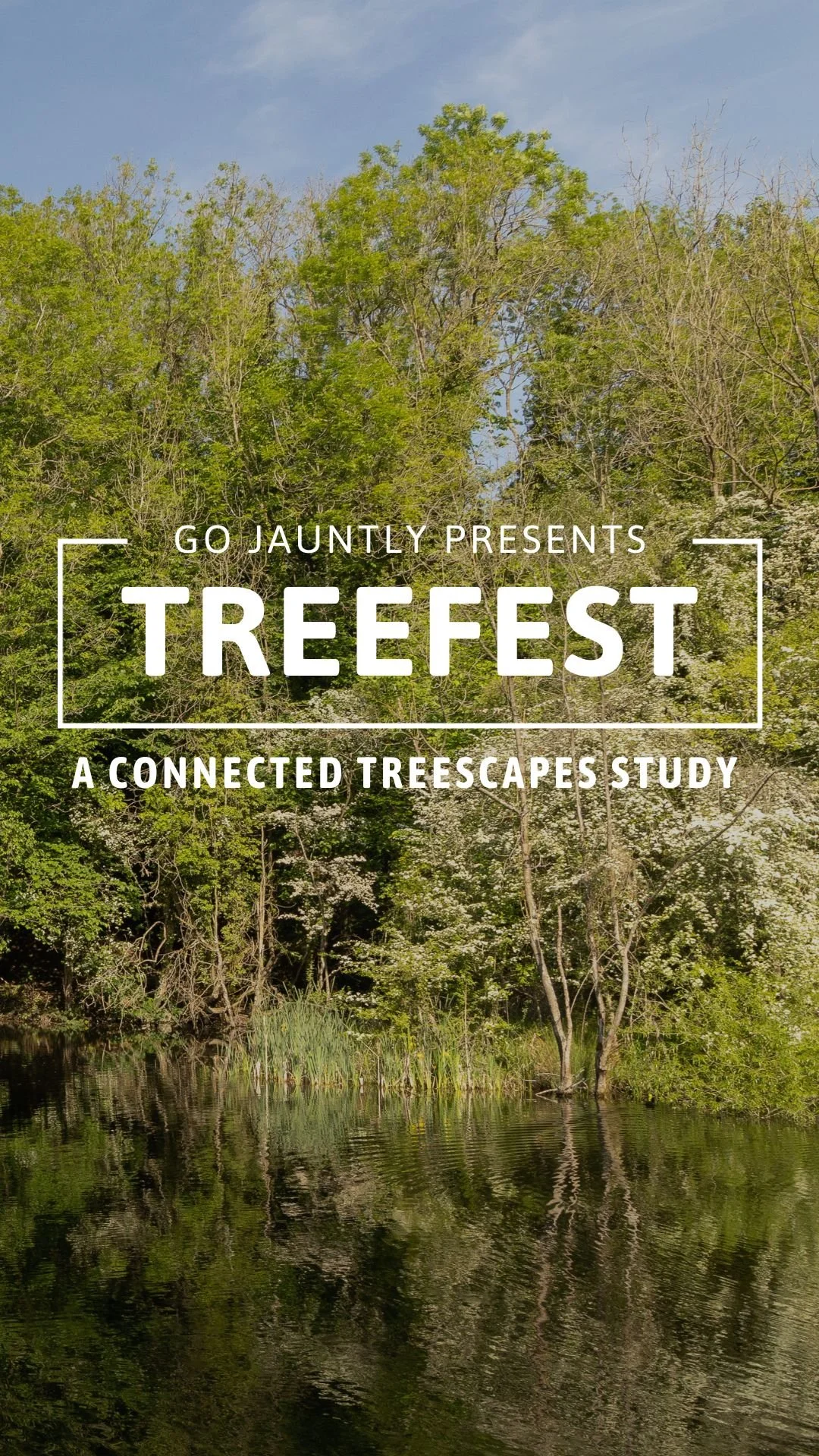 Treefest: Help us understand the joy of trees through taking a walk