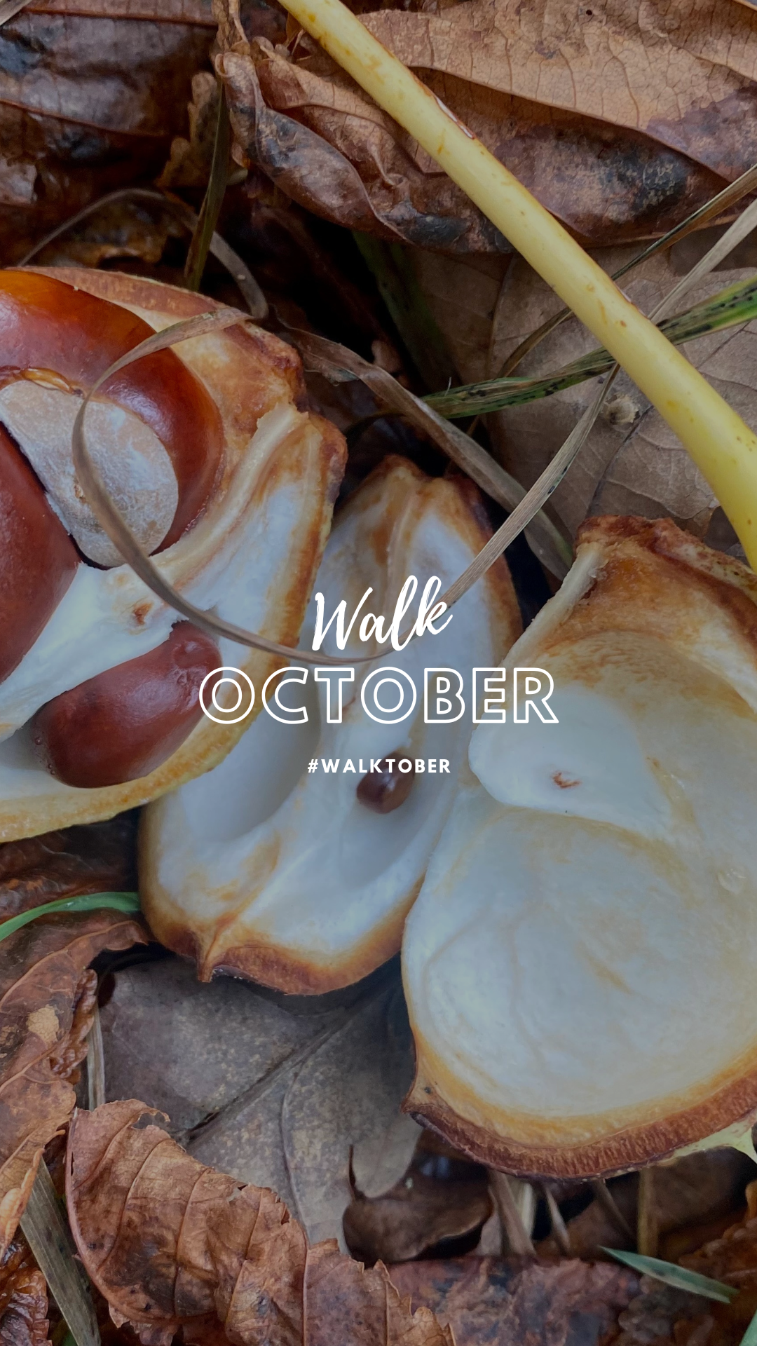 Walktober Challenge - a walk a day this October
