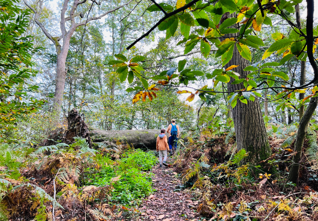 Walking and the Right to Roam in England