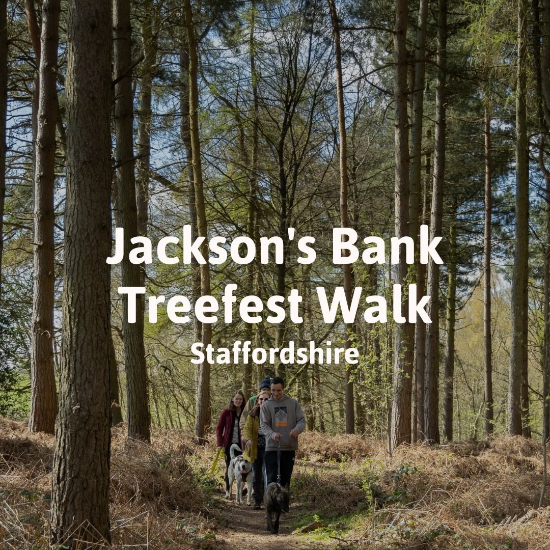 Jackson's Bank Treefest Walk
