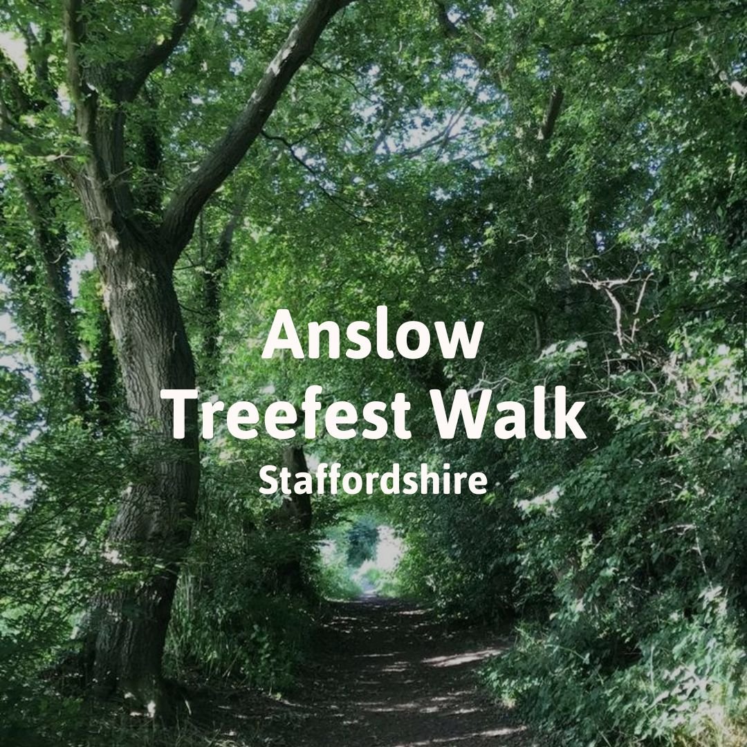 Anslow Treefest Walk
