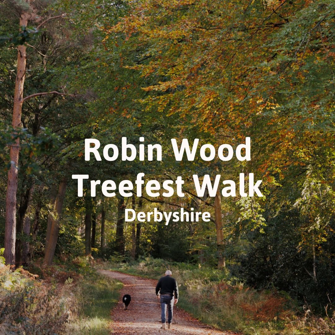 Robin Wood Treefest Walk