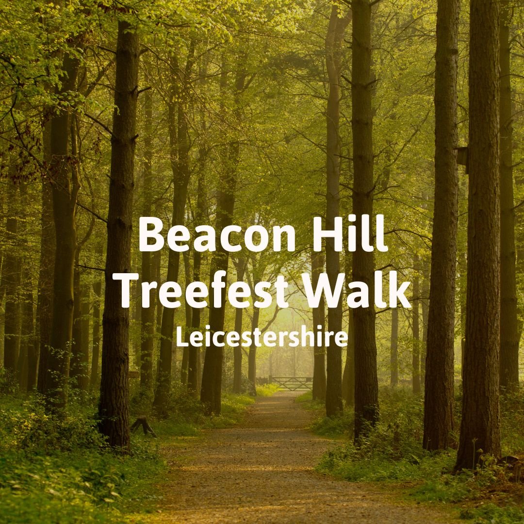 Beacon Hill Treefest Walk