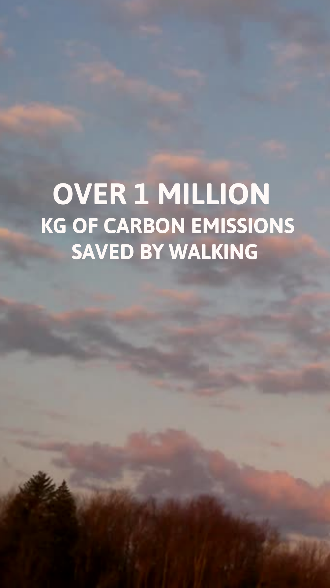 Go Jauntly's Walking Impact