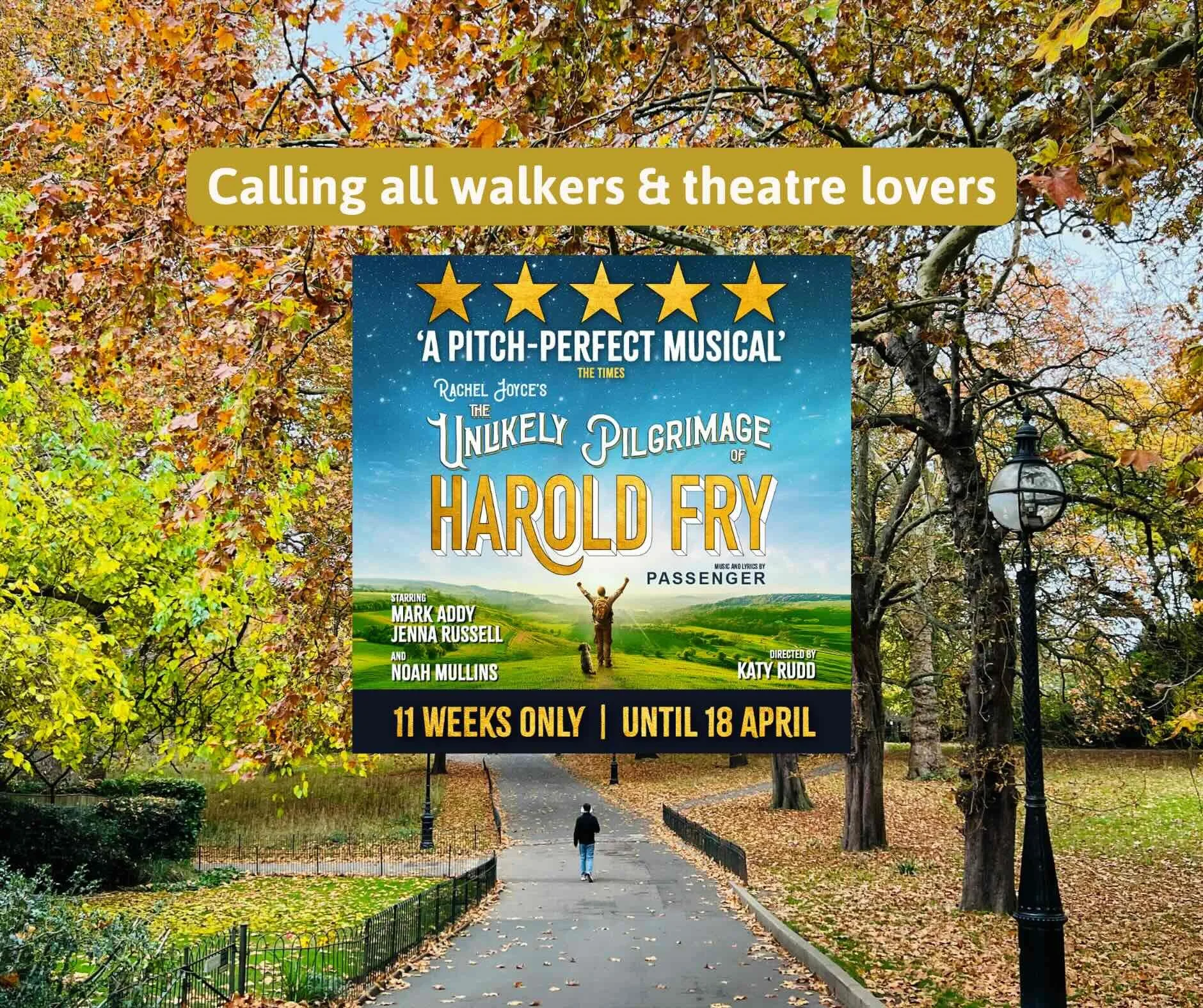 Autumnal trees in a London park with a wide path in the middle. Text says 'Calling all walkers & theatre lovers' to the Harold Fry musical.