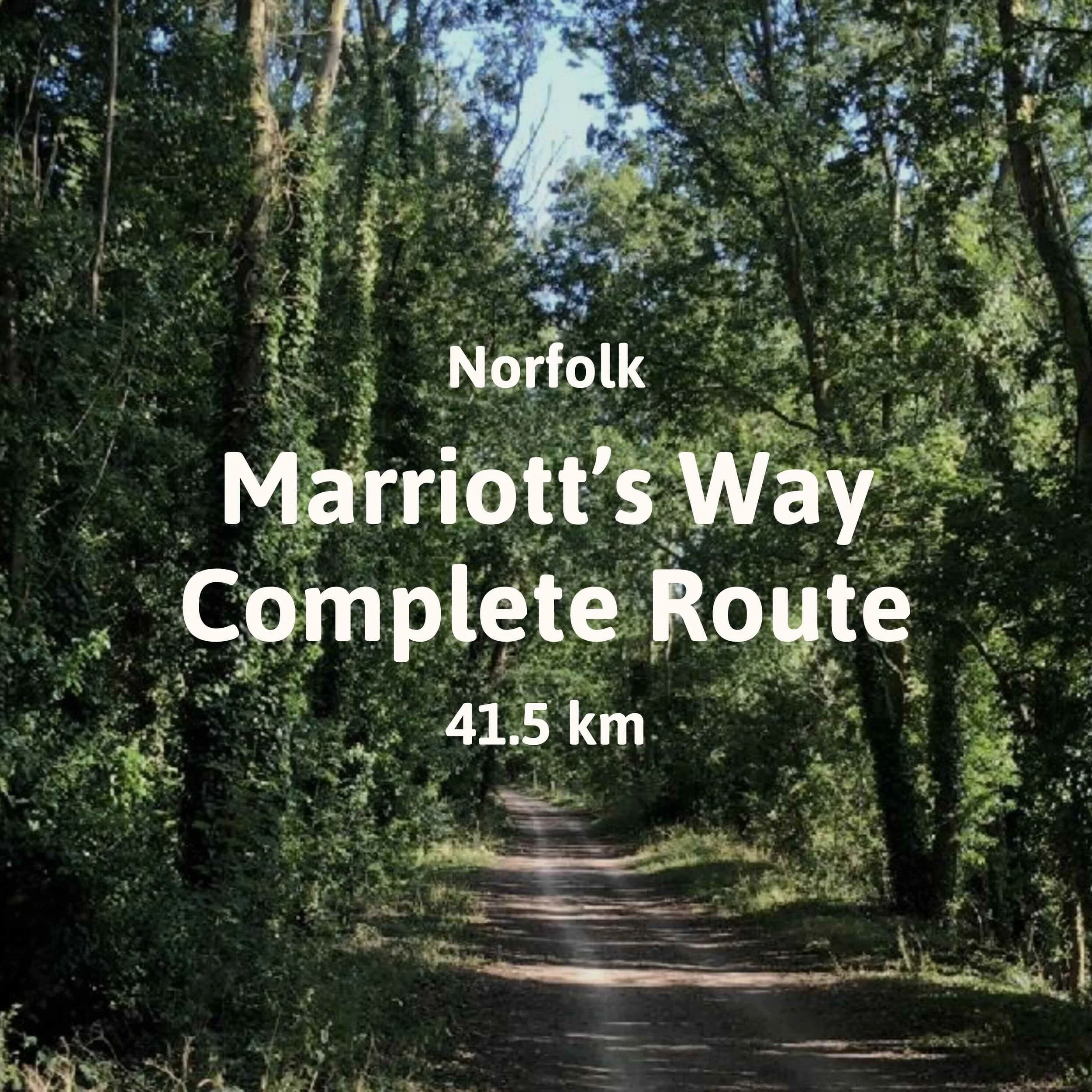 Tree-lined walkway along the Marriott's Way Heritage Trail.