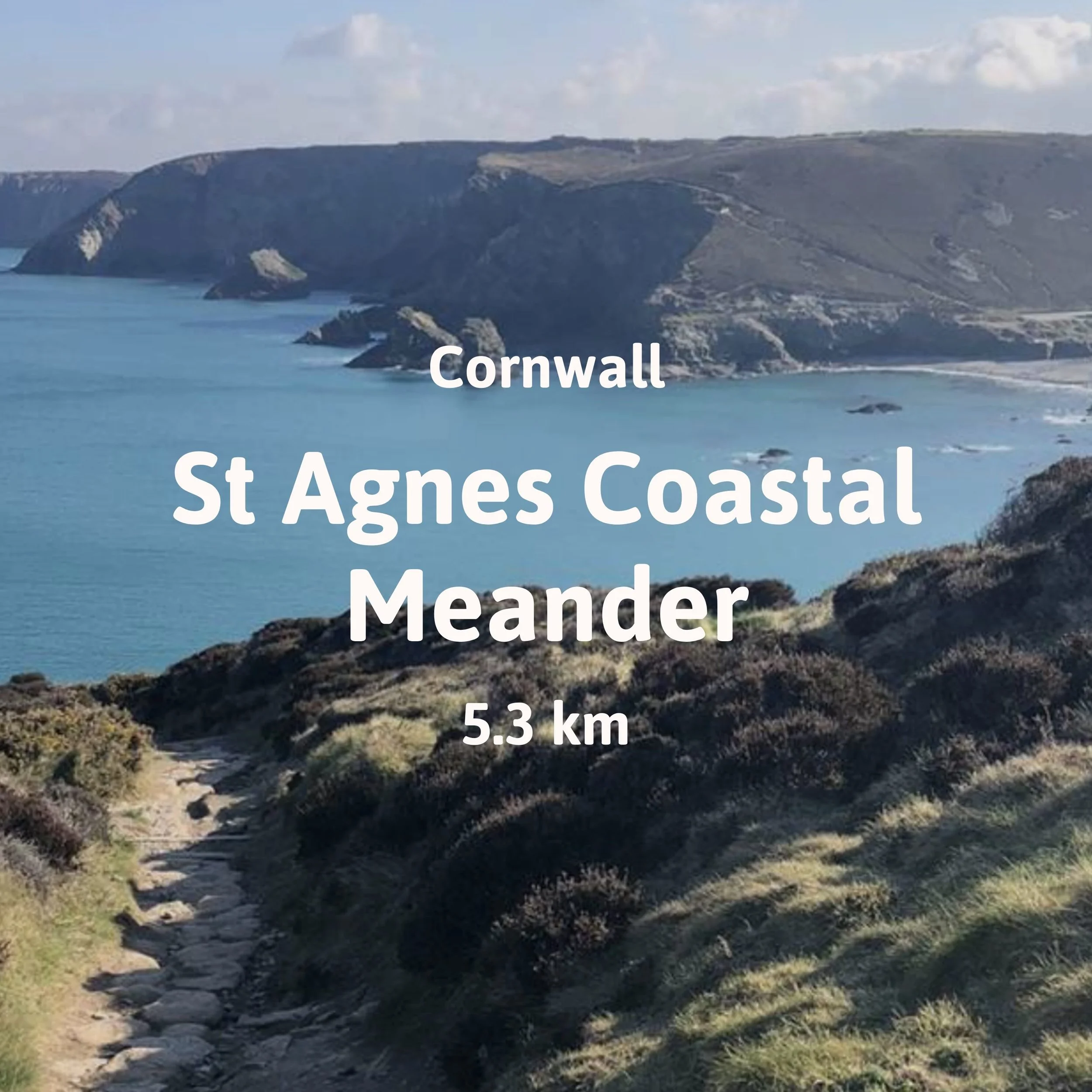 Rocky headlands and bays along the north Cornwall coast with the South West Coast Path in the foreground.