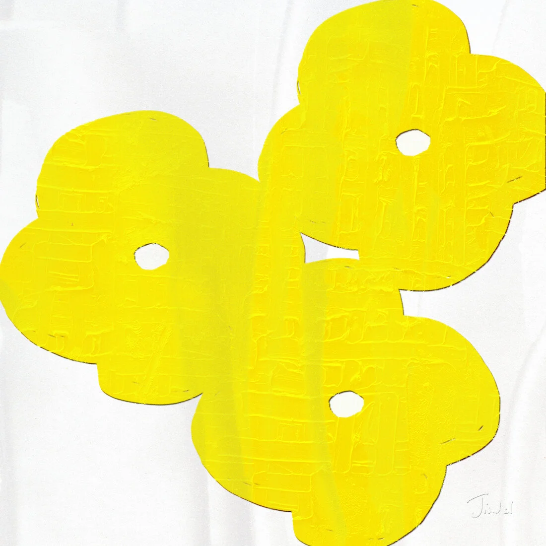 flowers1_whiteandyellowtexture_webres.jpg