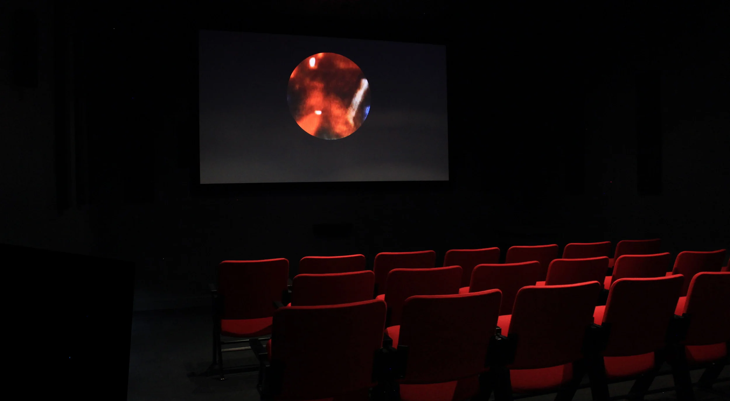 © Ali El-Darsa, The Color Remains the Same (2015). Vue de l’exposition. Photo : Veronica Mockler.
