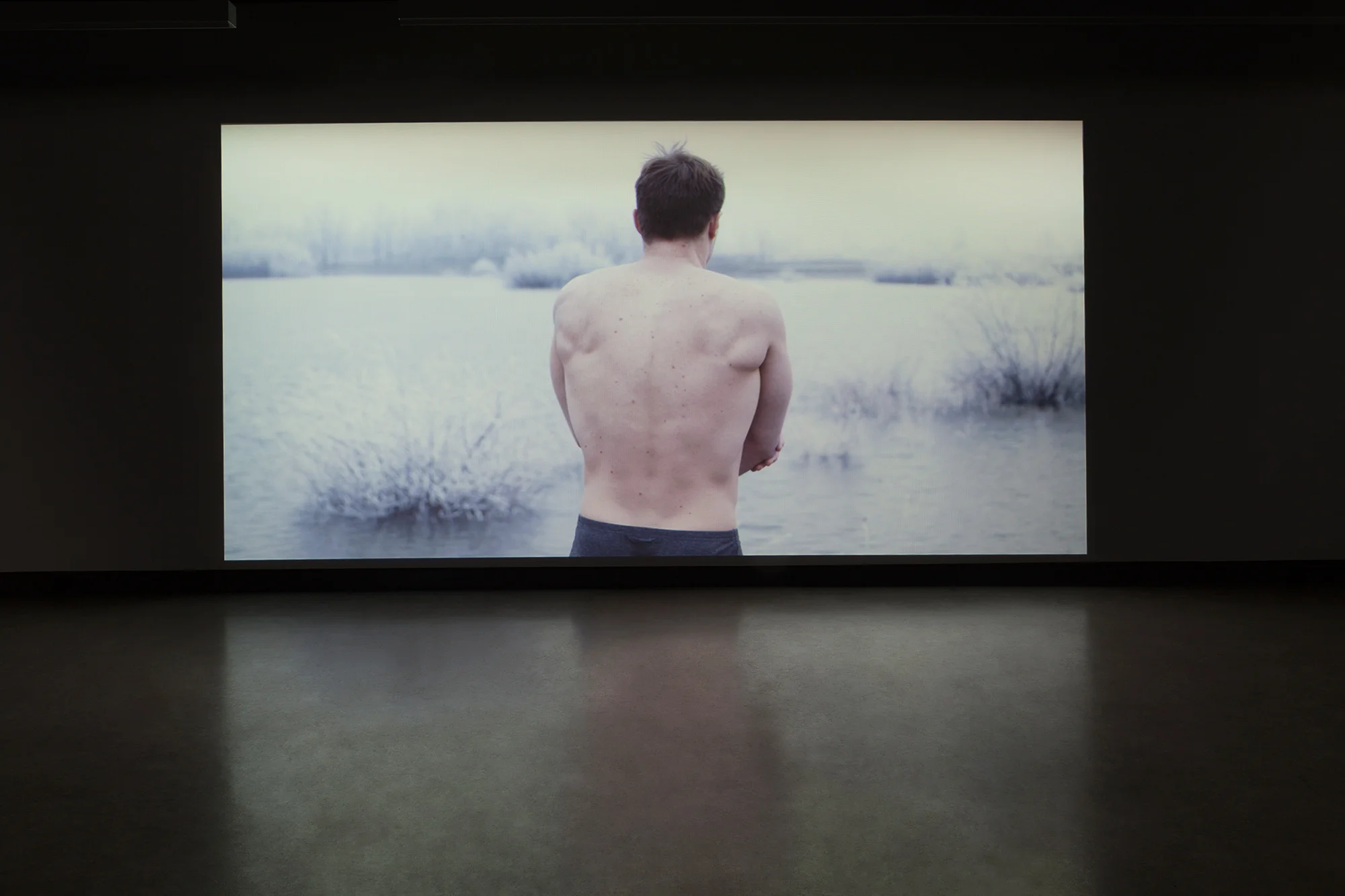 © Damir Očko, TK (for voice and strings) (2014). Vue de l'exposition. Photo : Marilou Crispin.