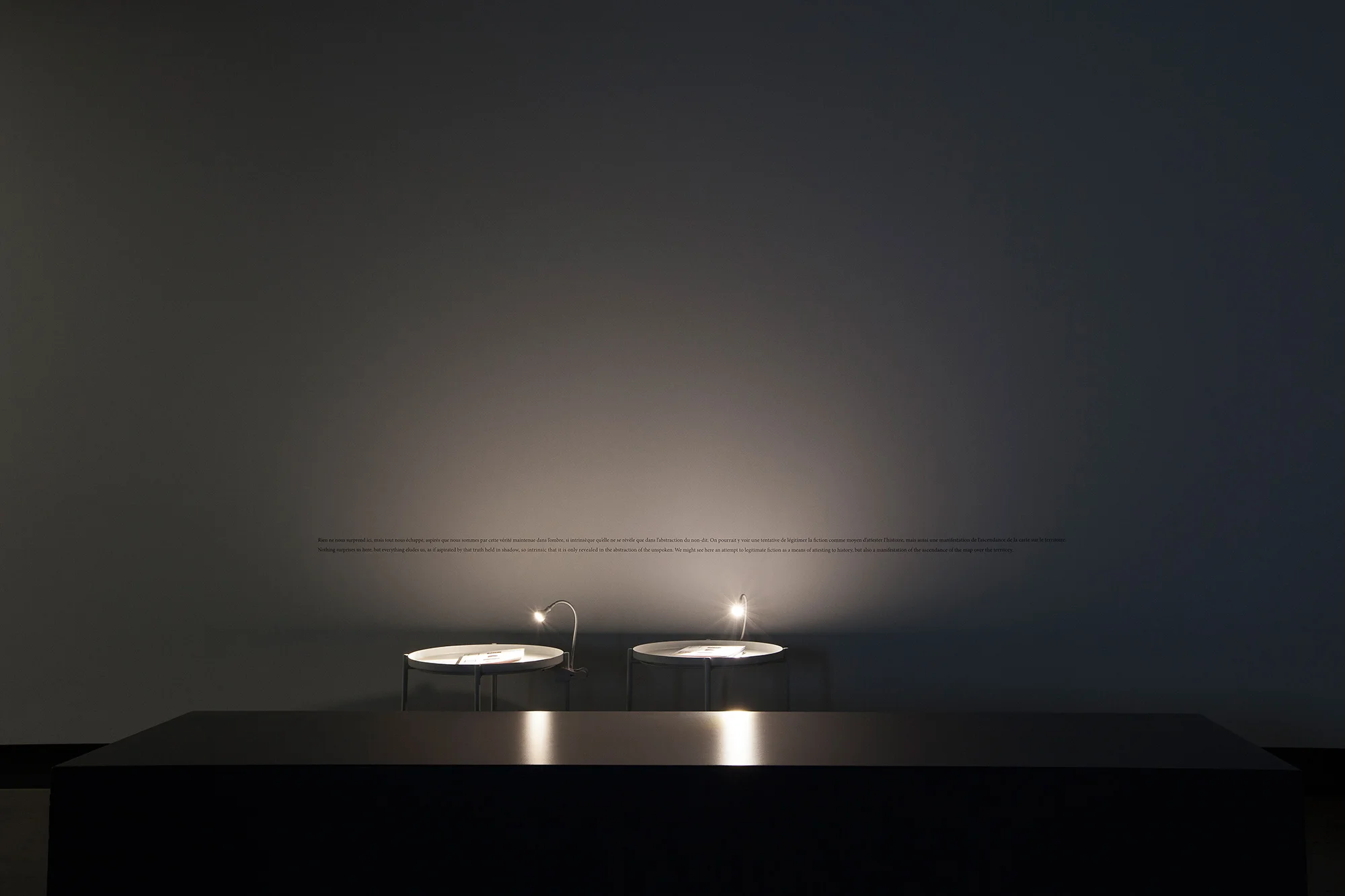 © Velibor Božović, vue de l'exposition Nothing Will Surprise You Here (2017). Photo : Marilou Crispin.