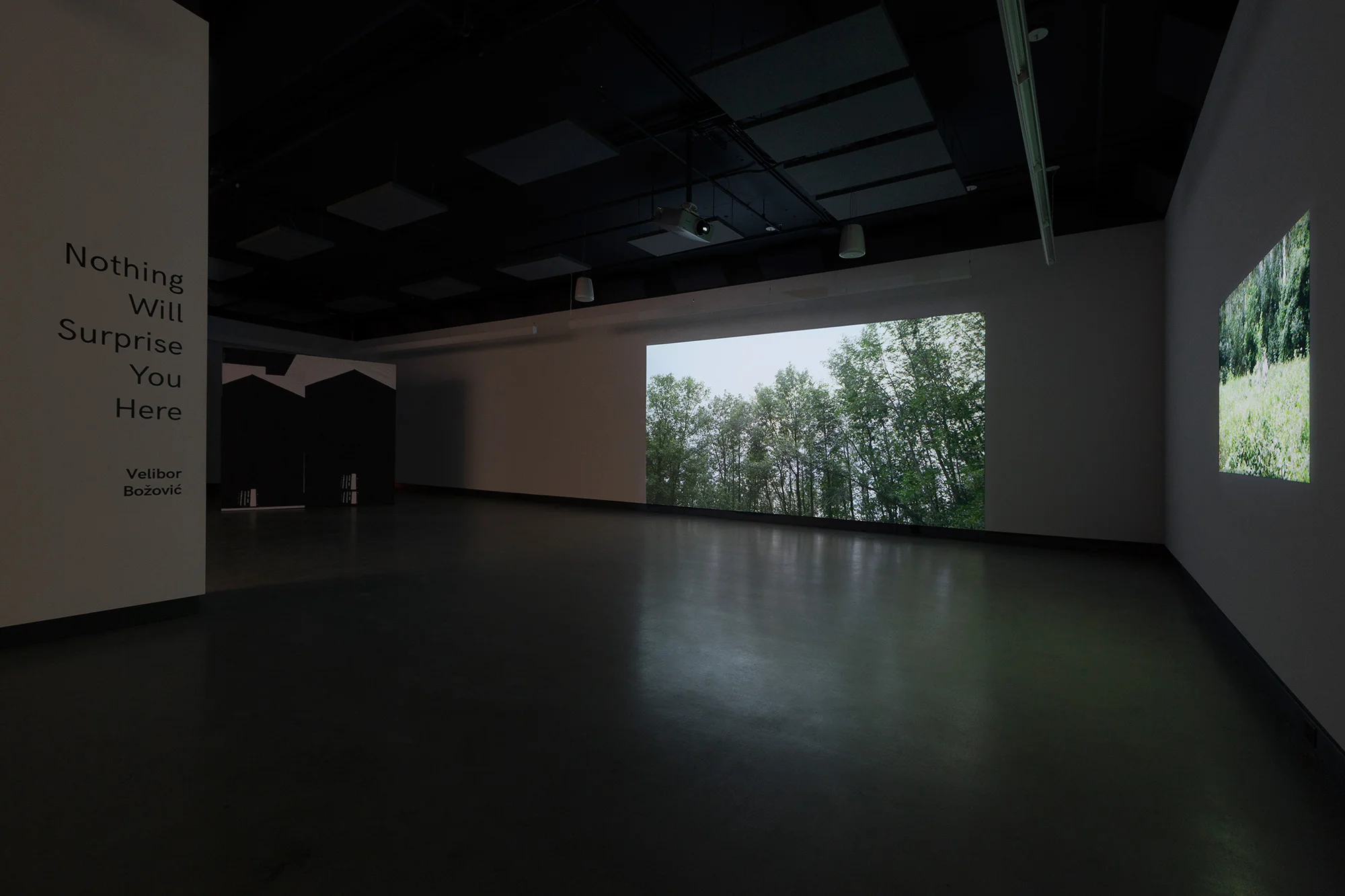 © Velibor Božović, vue de l'exposition Nothing Will Surprise You Here (2017). Photo : Marilou Crispin.